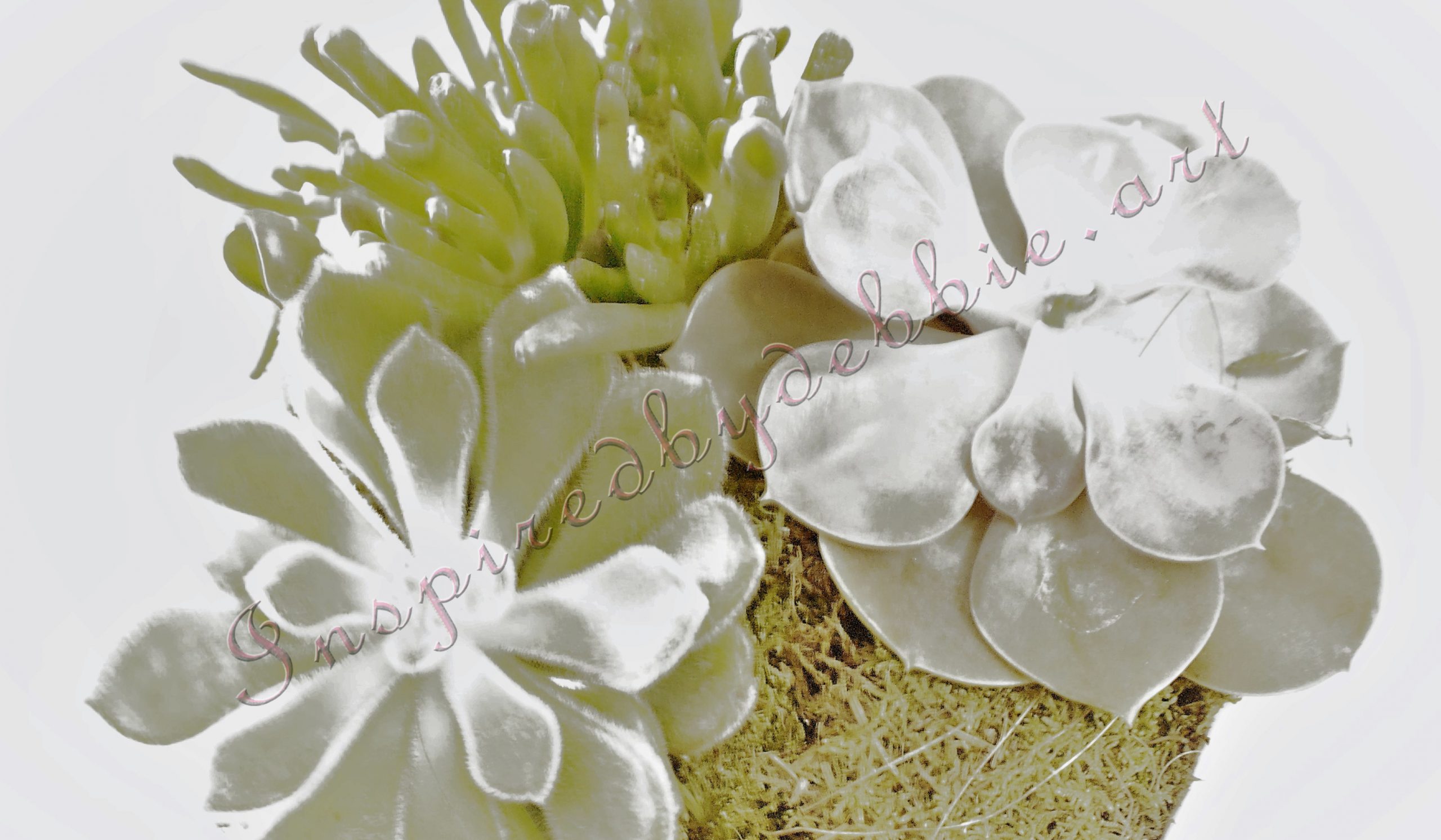 inspiredbydebbie.art