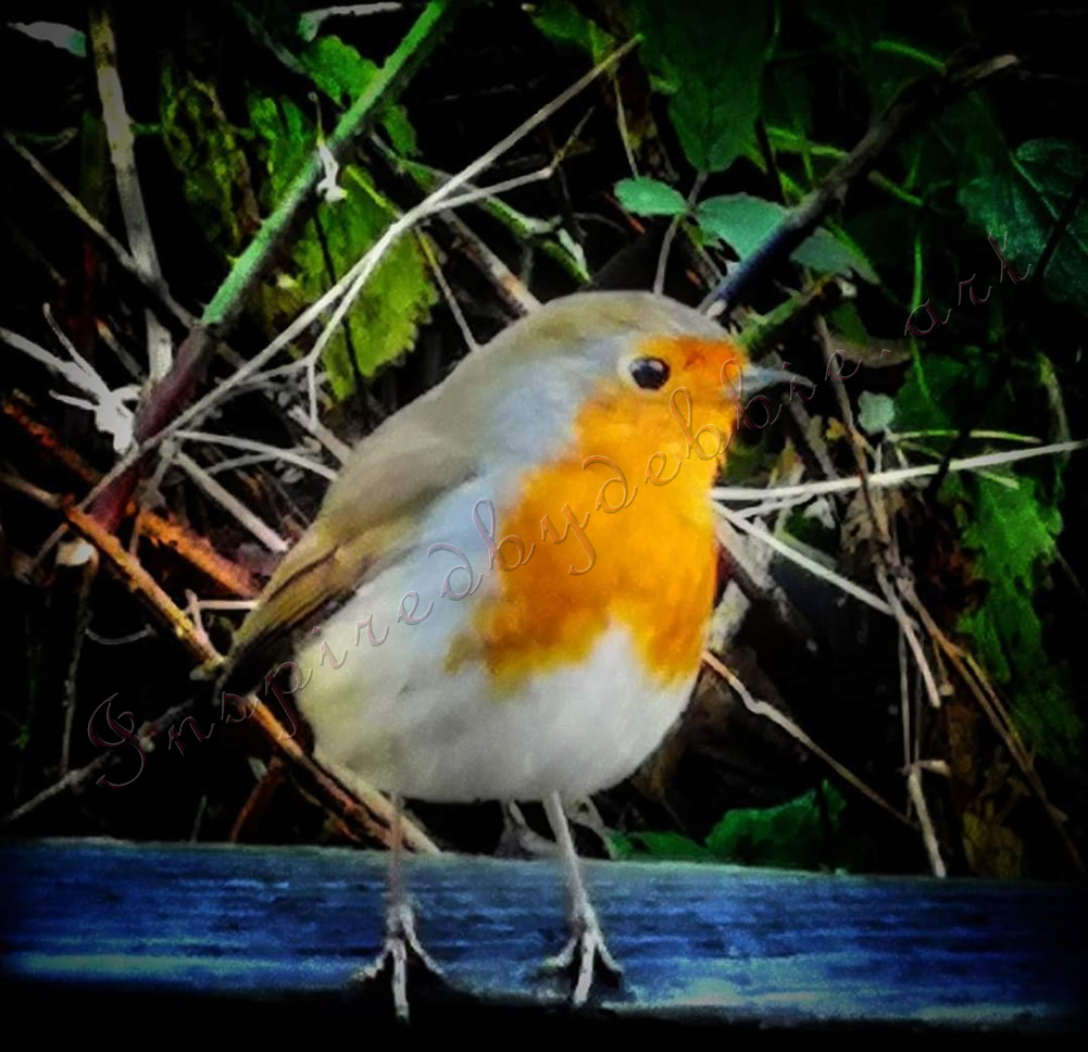 inspiredbydebbie.art