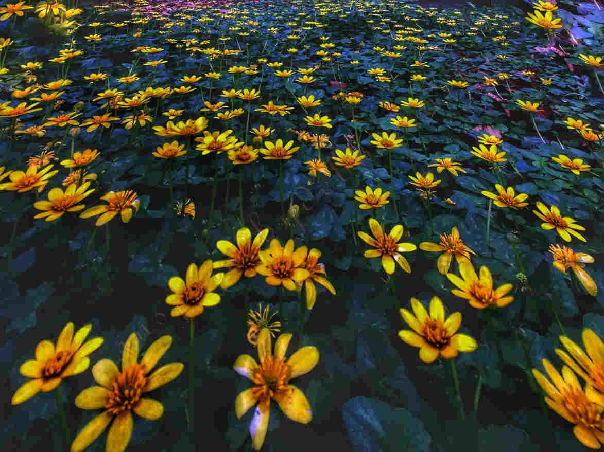 inspiredbydebbie.art