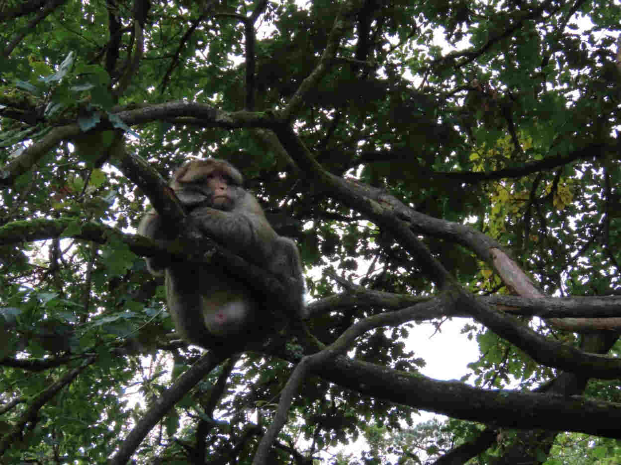 inspiredbydebbie.art