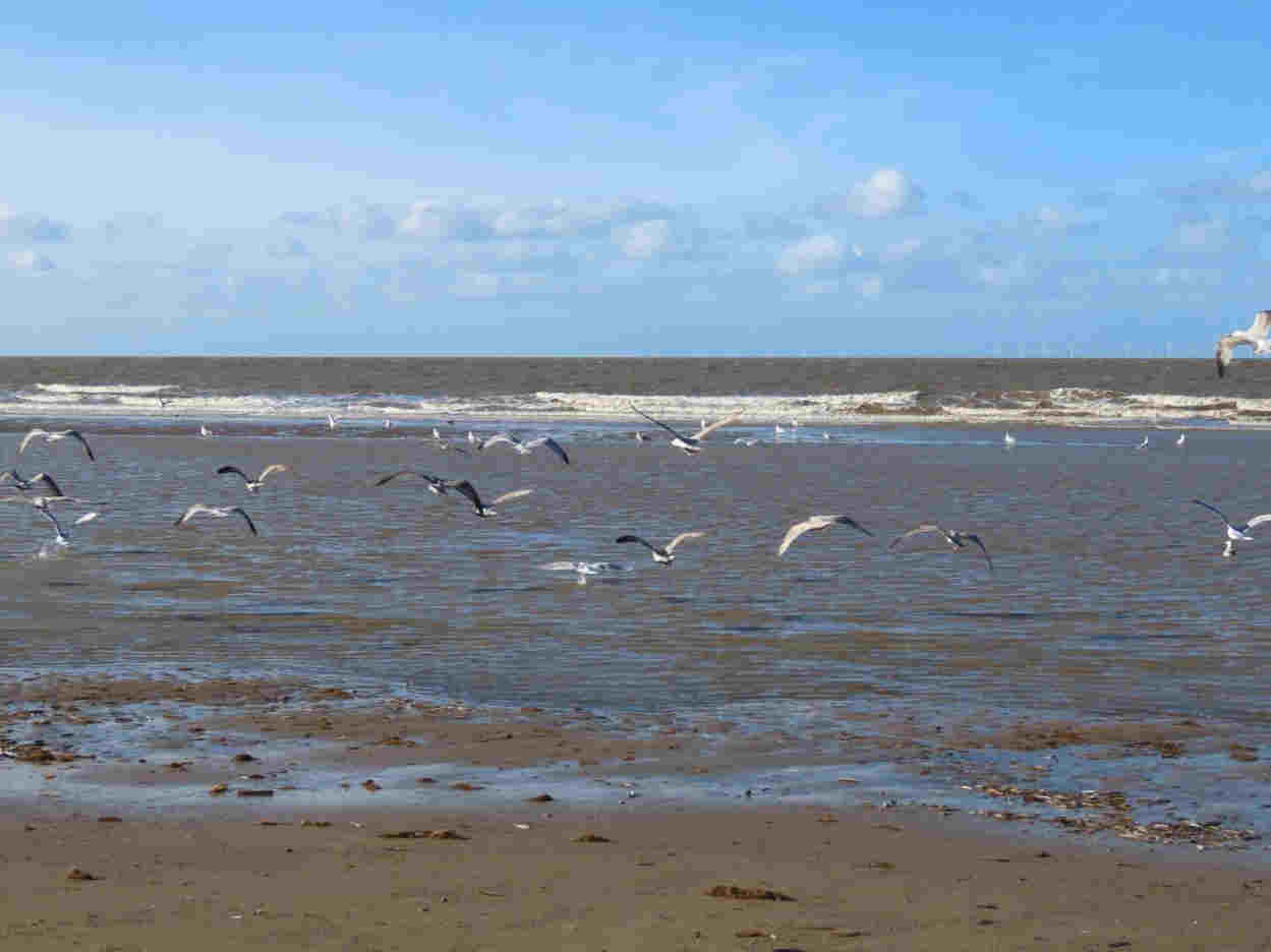 inspiredbydebbie.art