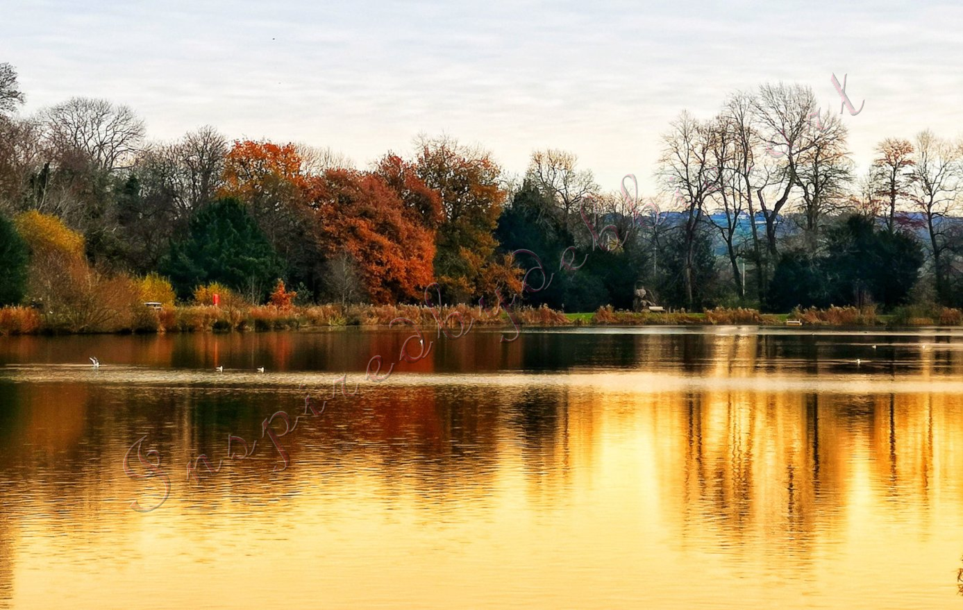 inspiredbydebbie.art