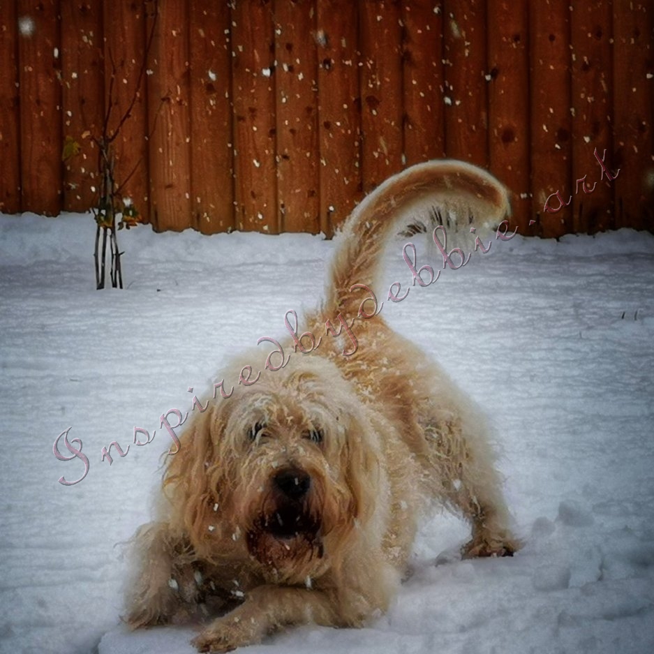 inspiredbydebbie.art